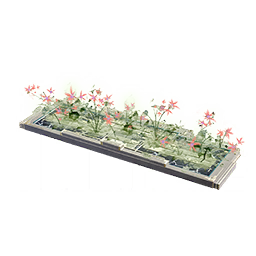 Kaitain Flower Bed